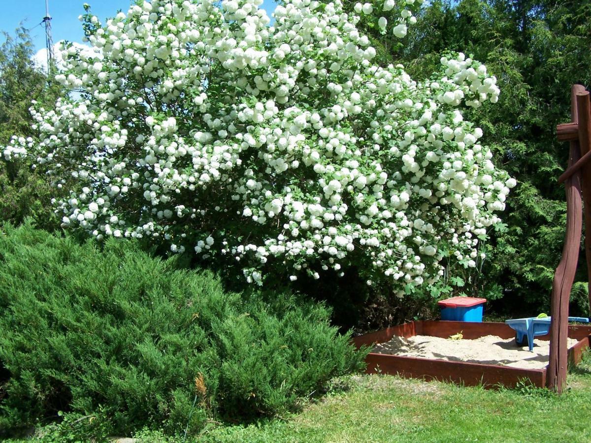 Agrohotelik-Gospodarstwo Agroturystyczne Mrągowo Εξωτερικό φωτογραφία